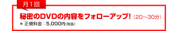 月1回：「秘密のDVDの内容をフォローアップ！」（20～30分）＊正規料金5,000円（税抜）