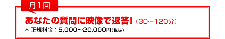 月1回：「あなたの質問に映像で返答！」（30～120分）＊正規料金5,000～20,000円（税抜）