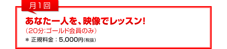 月1回：「あなた一人を、映像でレッスン！」（20分：ゴールド会員のみ）＊正規料金5,000円（税抜）