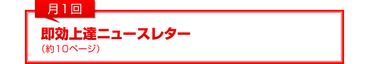 月1回：即効上達ニュースレター（約10ページ）