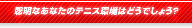 聡明なあなたのテニス環境はどうでしょう？