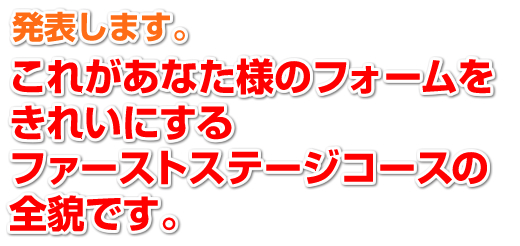 発表します。これがあなた様のフォームをきれいにするファーストステージの全貌です。