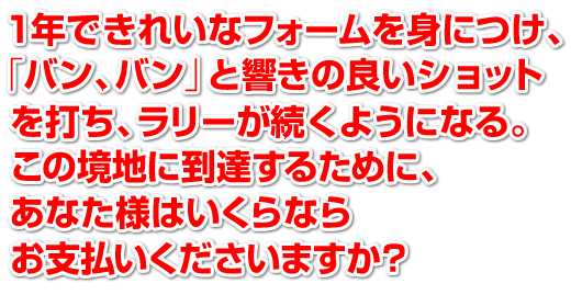 1年できれいなフォームを身につけ、「バン、バン」と響きの良いショットを打ち、ラリーが続くようになる。この境地に到達するために、あなた様はいくらならお支払いくださいますか?
