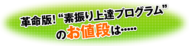 革命版！“素振り上達プログラム”のお値段は・・・・・