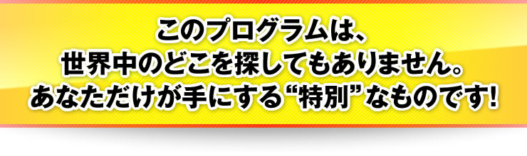 このプログラムは、世界中のどこを探してもありません。あなただけが手にする“特別”なものです！