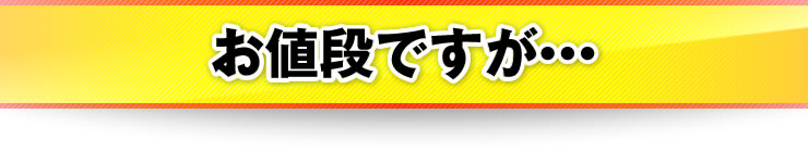 お値段ですが…