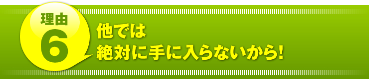 理由６：「他では絶対に手に入らないから！」