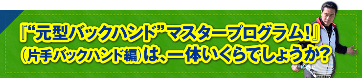 「“元型バックハンド“マスタープログラム！」（片手バックハンド編）は、一体いくらでしょうか？