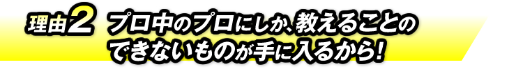 理由2：プロ中のプロにしか、教えることのできないものが手に入るから！