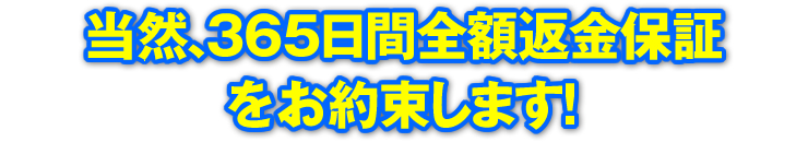 当然、365日間全額返金保証をお約束します！