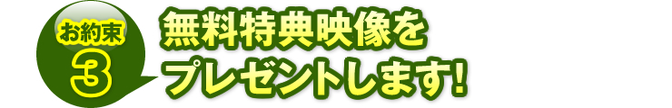 お約束3：「無料特典映像をプレゼントします！」