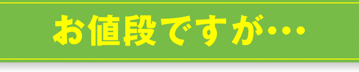 お値段ですが･･･