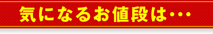 気になるお値段は…