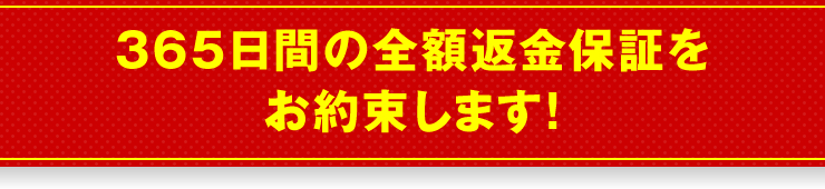 365日間の全額返金保証をお約束します！