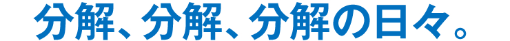 分解、分解、分解の日々。