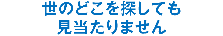 世のどこを探しても見当たりません