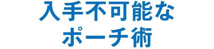 入手不可能なポーチ術