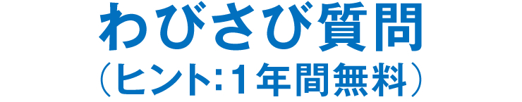 わびさび質問（ヒント：1年間無料）