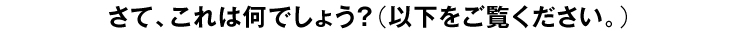 さて、これは何でしょう？（以下をご覧ください。）