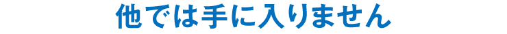 他では手に入りません